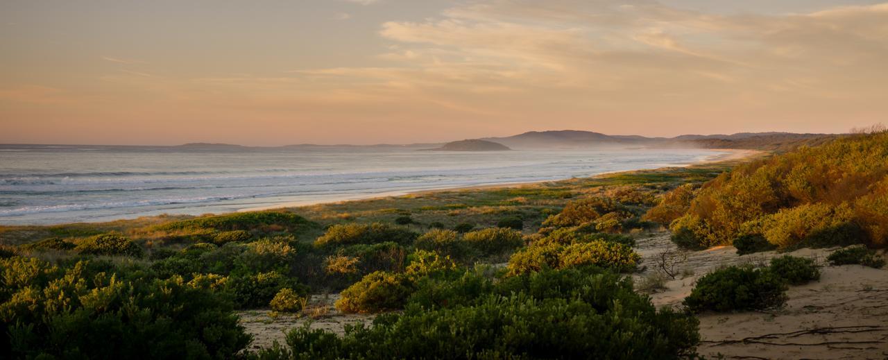 Wairo Beach Holiday Park Tabourie Lake Екстер'єр фото